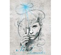 Fantastic Beasts The Crimes Of Grindelwald Art Prints, Multi-Colour, 60 X 80cm