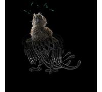 Fantastic Beasts Tribal Augurey Women's T-Shirt - Black - XS