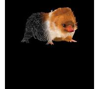 Fantastic Beasts Tribal Baby Niffler Men's T-Shirt - Black - XXL - Black