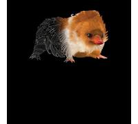 Fantastic Beasts Tribal Baby Niffler Women's T-Shirt - Black - XXL