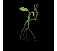 Fantastic Beasts Tribal Bowtruckle Women's T-Shirt - Black - S