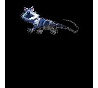 Fantastic Beasts Tribal Chupacabra Men's T-Shirt - Black - 5XL