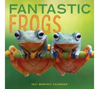 Fantastic Frogs 2027 Wall Calendar | 12" X 24" Open | Marble City Press | Plastic Free | Printed on Thick Art Paper
