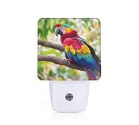 Fantastic Parrot Feather 1 Print Plug-in Night Light for Bedroom Hallway Dorm Living Room Illumination Home Decor
