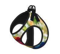 Fantastic Parrot Feather 1 Print Step in Dog Harness and Leash Set,Adjustable Reflective Harness for Small Dogs Cats