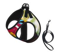 Fantastic Parrot Feather Print Dog Harness,Pet Leash Vest For Small To Medium Dogs,Perfect For Outdoor Adventures
