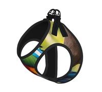 Fantastic Parrot Feather Print Dog Harness,Pet Leash Vest For Small To Medium Dogs,Perfect For Outdoor Adventures