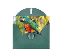 Fantastic Parrot Feather Print Greeting card Blank card with envelope,Unique Designs for Festivals Invitations