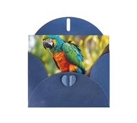Fantastic Parrot Feather Print Greeting card Blank card with envelope,Unique Designs for Festivals Invitations