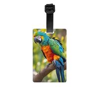 Fantastic Parrot Feather Print Luggage Tags for Suitcases Labels Set Travel Essentials Detachable Business Trip