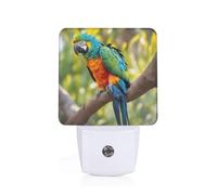 Fantastic Parrot Feather Print Plug-in Night Light for Bedroom Hallway Dorm Living Room Illumination Home Decor