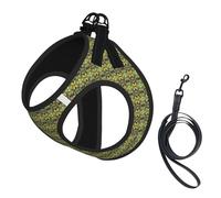 Fantastic Parrot Feather Print Step in Dog Harness and Leash Set,Adjustable Reflective Harness for Small Dogs Cats