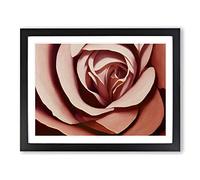 Fantastic Rose Flower Framed Print | A2 Black Framed Wall Art | Ready to Hang | Modern Floral Picture | Living Room Bedroom Lounge Office