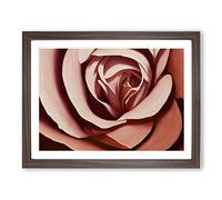 Fantastic Rose Flower Framed Print | A2 Walnut Framed Wall Art | Ready to Hang | Modern Floral Picture | Living Room Bedroom Lounge Office