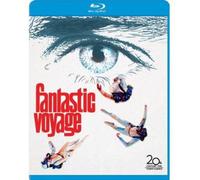Fantastic Voyage