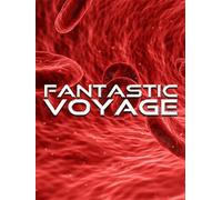 Fantastic Voyage