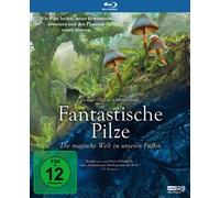 FANTASTISCHE PILZE - Die magische Welt zu unseren Füßen (Blu-ray)