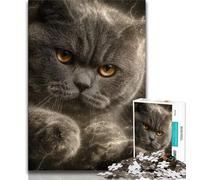 Fantasy Cat JigsawPuzzle 1000 Pieces for Adults,Challenging To Complete But Fun And Humorous with Matching Poster And Trivia Sheet (38x26cm)