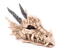 Fantasy Dragon Skull Shaped Money Box - Gothic Piggy Bank
