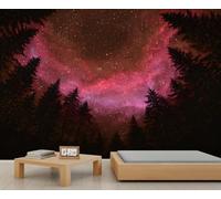 Fantasy Galaxy Murals Pink Nebula Wall Mural Dreamy Night Sky Wallpaper Galaxy Starry Sky Mural Wallpaper for Bedroom Living Room 350 x 256 cm