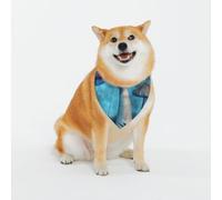 Fantasy Mushrooms Pattern Dog Bandanas, Comfortable Cotton Triangle Bibs Scarfs for Dogs Or Cats,Cute Pet Kerchief for Medium Large Dogs-Xx-Large