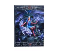 Fantasy & Mythology Anne Stokes The Dragon Mage Journal 17.7cm | Journals &