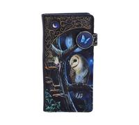 Fantasy & Mythology Lisa Parker Fairy and Owl Purse | Purses | Acotis