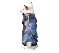 Fantasy Wonderland Dog Hoodie for Small, Soft Breathable, Pet Clothes for Small