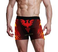 FANTAZIO Men's Boxer Brief Phoenix and Fire Background Mens Underwear