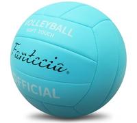 Fantecia Volleyball, Official Size 5 Soft Touch Indoor and Outdoor Volleyball Balls, Perfect for Beach, Grass, & Youth Games Volleyball- Includes Pump