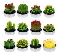 FANTESI 12 Pcs Cactus Candles, Handmade Cactus Succulent Cactus Tealight for Spa Home Party Wedding Decoration Gifts(Style 1)