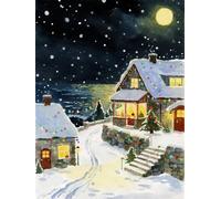 FanZheZhe Embroidery Kit for Beginners, Cross Stitch Kits for Adults, Beginners Embroidery Kit, Embroidery Set, Including Fabric with Prints, Threads, Needles, Snowy Night Town40X50Cm