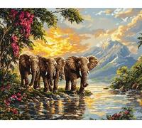 FanZheZhe Embroidery Kit for Beginners, Cross Stitch Kits for Adults, Beginners Embroidery Kit, Embroidery Set, Including Fabric with Prints, Threads, Needles, Coastal City40X50Cm