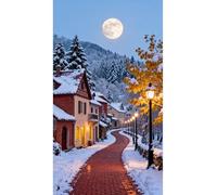 FanZheZhe Embroidery Kit for Beginners, Cross Stitch Kits for Adults, Beginners Embroidery Kit, Embroidery Set, Including Fabric with Prints, Threads, Needles, Snowy Countryside40X50Cm