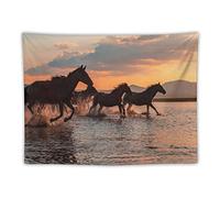 FAPCW Animal Horse Art Tapestry Wall Hanging Wall Decor for Dorm Bedroom Home Decor 30"x40"