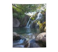 FAPCW Forest Waterfall Nature Tapestry 30"x40" Wall Art for Bedroom & Living Room