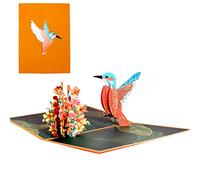 FAPUMOE 3D Pop Up Hummingbird Greeting Card, Lovely Hummingbird Anniversary Pop-up Card For Family Friends Mum Women Lovers Birthday Wedding Anniversary Valentine's Day Gift