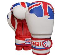 Farabi Boxing Gloves Kids Junior Flag Series Training Bag Pads Workout Punching Bags Sparring Super Quality Flag Series (England, 6-oz)