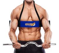 Farabi Fitness Weightlifting Arm Blaster Biceps Isolator Gym Support Straps Wraps (Blue)