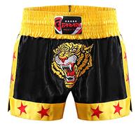 Farabi Muay Thai MMA Kickboxing Martial Arts Grappling Cage Fighting Training and Professional Fighting Shorts Trunks, Black Gold, X-Large