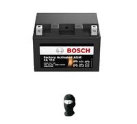 farbrothersonline COMPATIBLE WITH BMW R GS Adventure 1200 2014 A 2018 BOSCH SLA BATTERY ALREADY READY FOR USE TTZ14S-BS 12V 11AH 11A MOTORCYCLE SCOOTER DIY CHARGE FOR ASSEMBLY