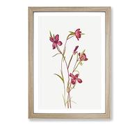 Farewell to Spring by Mary Vaux Walcott Framed Print | A2 Oak Framed Wall Art | Ready to Hang | Modern Landscape Picture | Living Room Bedroom Lounge Office