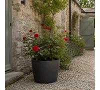 Fargro Home And Garden Bucket Round Planter Charcoal Black Polystone Outdoor Plant Pot 40Cm X 32Cm 30L Medium