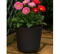 Fargro Home And Garden™ Egg Round Planter, Charcoal Black Poly Stone Egg Round Planter Outdoor Plant Pot, D45 H45 Cm, 59L