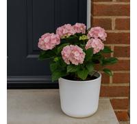 Fargro Home And Garden Egg Round Planter White Polystone Outdoor Plant Pot 25Cm X 25Cm 9L Small
