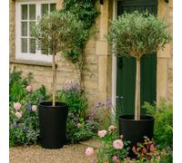Fargro Home And Garden Vase Planter Charcoal Black Polystone Outdoor Tall Plant Pot 35Cm X 55Cm 37L Medium