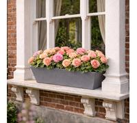 Fargro Home And Garden Window Box Planter Light Grey Polystone Outdoor Plant Pot 50Cm X 19Cm X 16Cm 10L Small