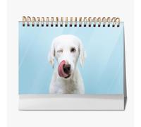 Farm Animal Cow Cattlecalendar 2026 farmers deskcalendars