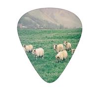 Farm Animal Guitar Picks 12 Pack Universal ABS Guitar Picks,Husbandry Themed Photo with Sheep Grazing on Grass in Iceland Nature,for Acoustic and Electric Guitar,Ecru and Fern Green