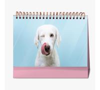 Farm Animals Dairy Cows Cowcalendar 2026 farmers deskcalendars